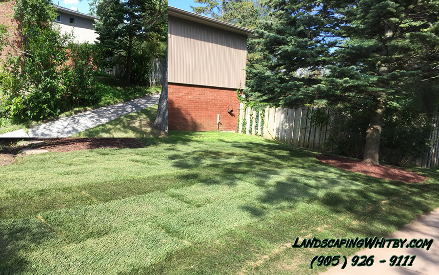 Landscaping Gardening and Sod